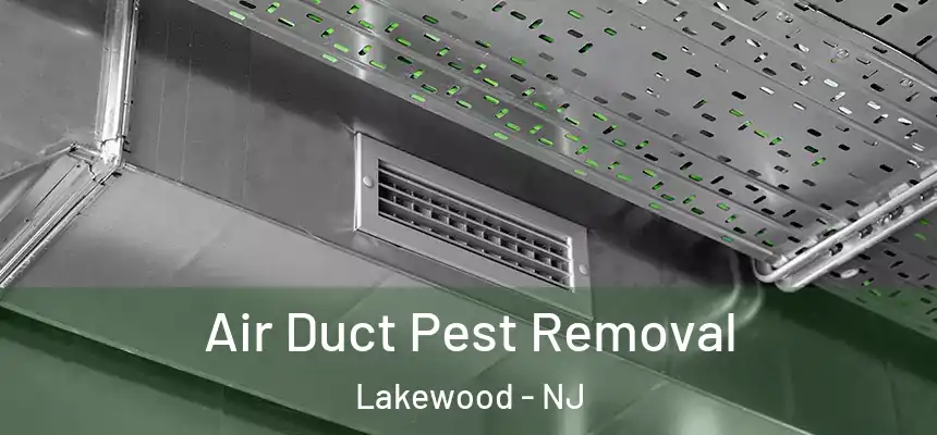 Air Duct Pest Removal Lakewood - NJ