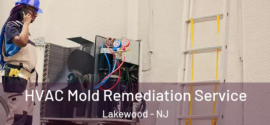  HVAC Mold Remediation Service Lakewood - NJ
