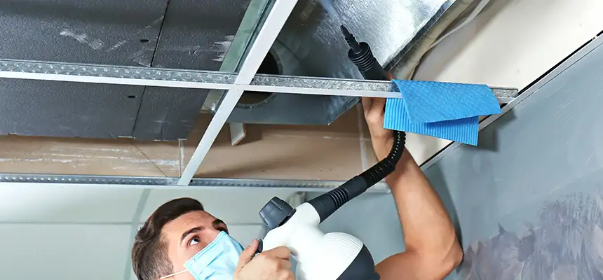 Our Air Duct Rodent Removal Services in Lakewood, NJ