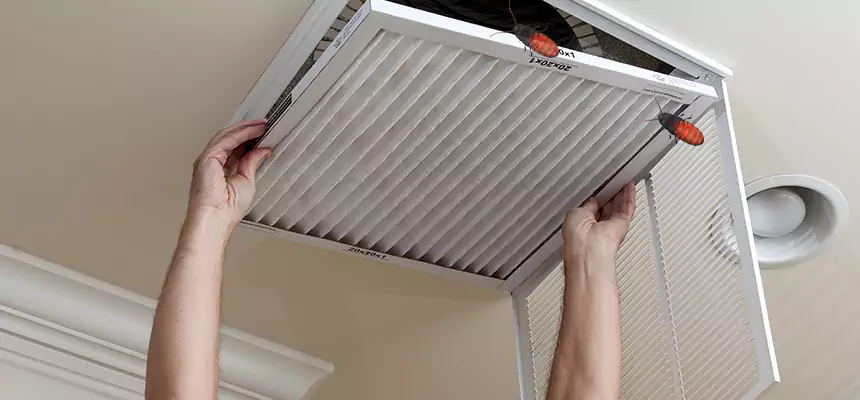 Our Insect Removal from Air Ducts Services in Lakewood, NJ