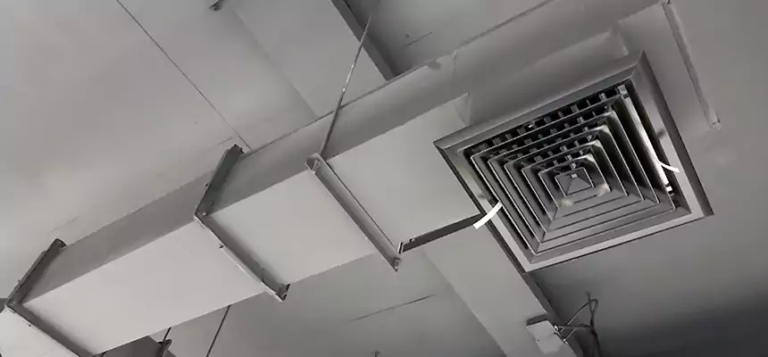 Our Rodent Droppings In Vents Services in Lakewood, NJ