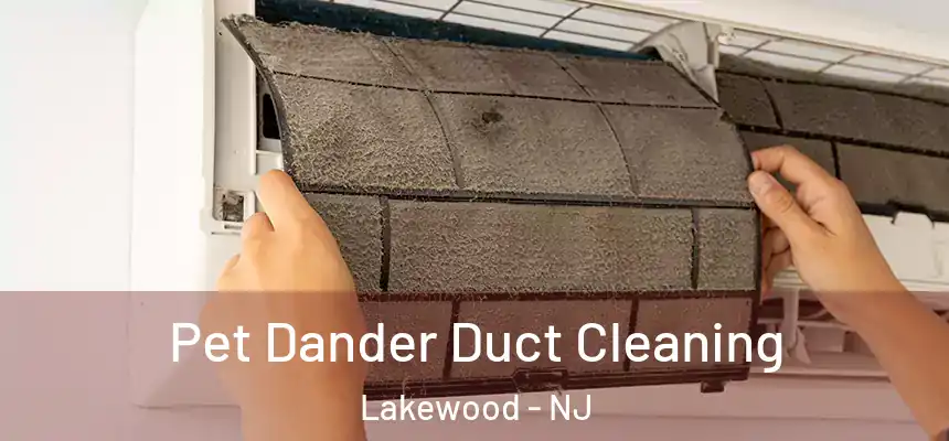  Pet Dander Duct Cleaning Lakewood - NJ