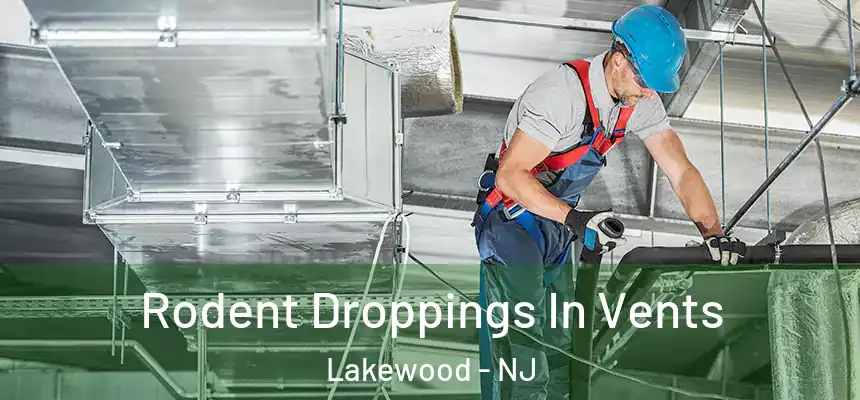 Rodent Droppings In Vents Lakewood - NJ
