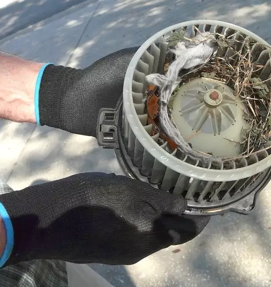 About Air Duct Mice Removal in Lakewood, NJ