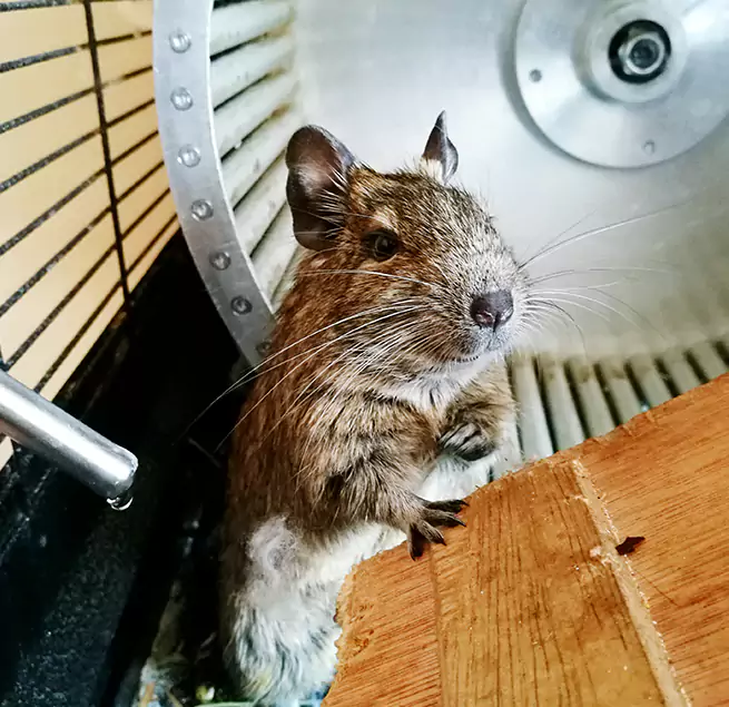 Why Homeowners & Businesses Trust Us Lakewood, NJ